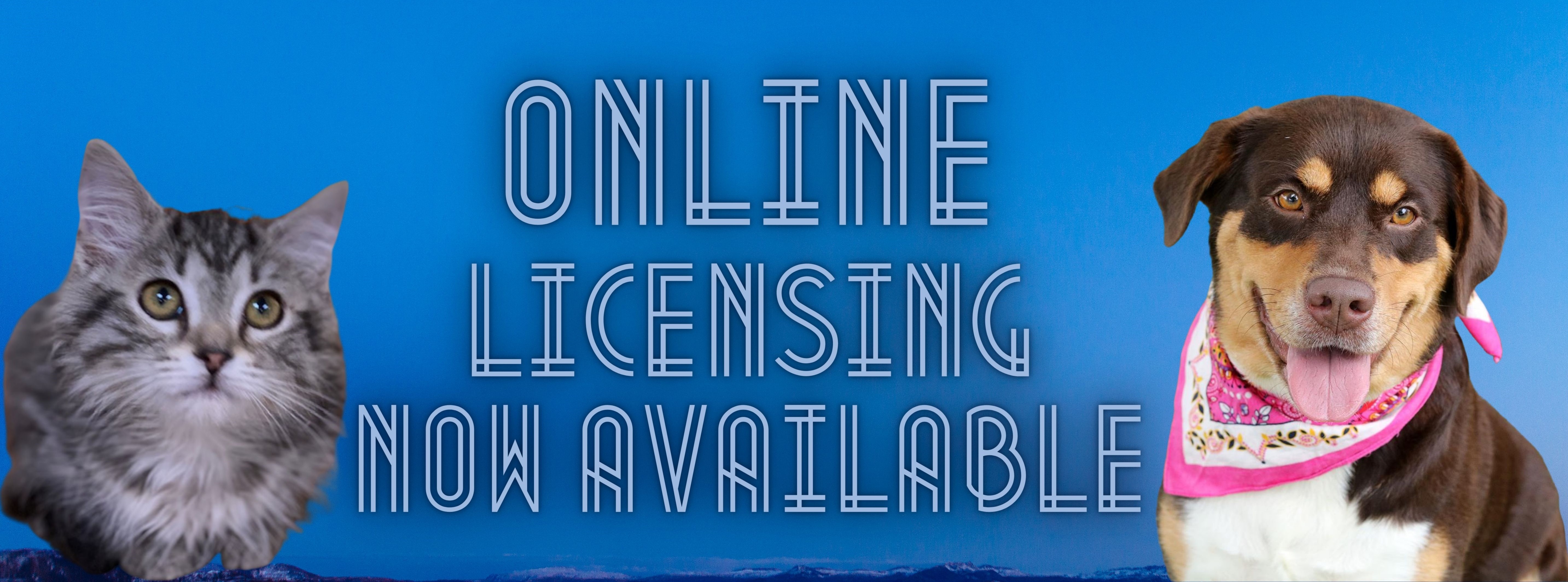 Online Licensing now available.jpg