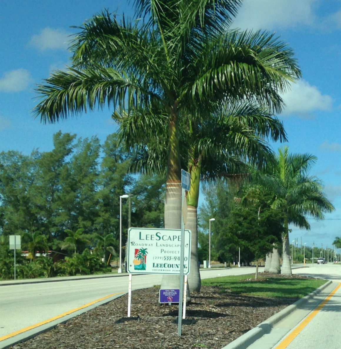 Image of landscaped median