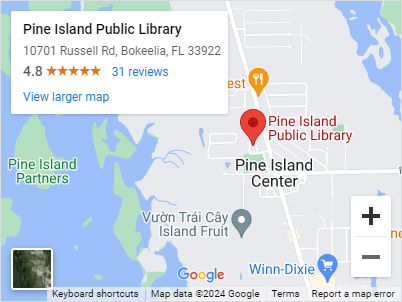 Google Map to Pine Island Public Library