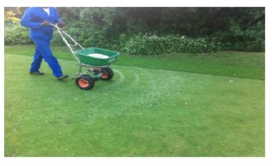 LawnFertilizing.JPG