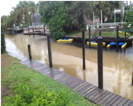 Polluted Canal.JPG