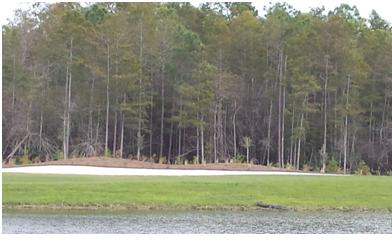 Golf Course.JPG