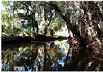 Orange River.png