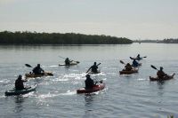 Great Calusa Blueway Paddling Trail