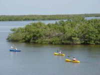 Great Calusa Blueway Paddling Trail