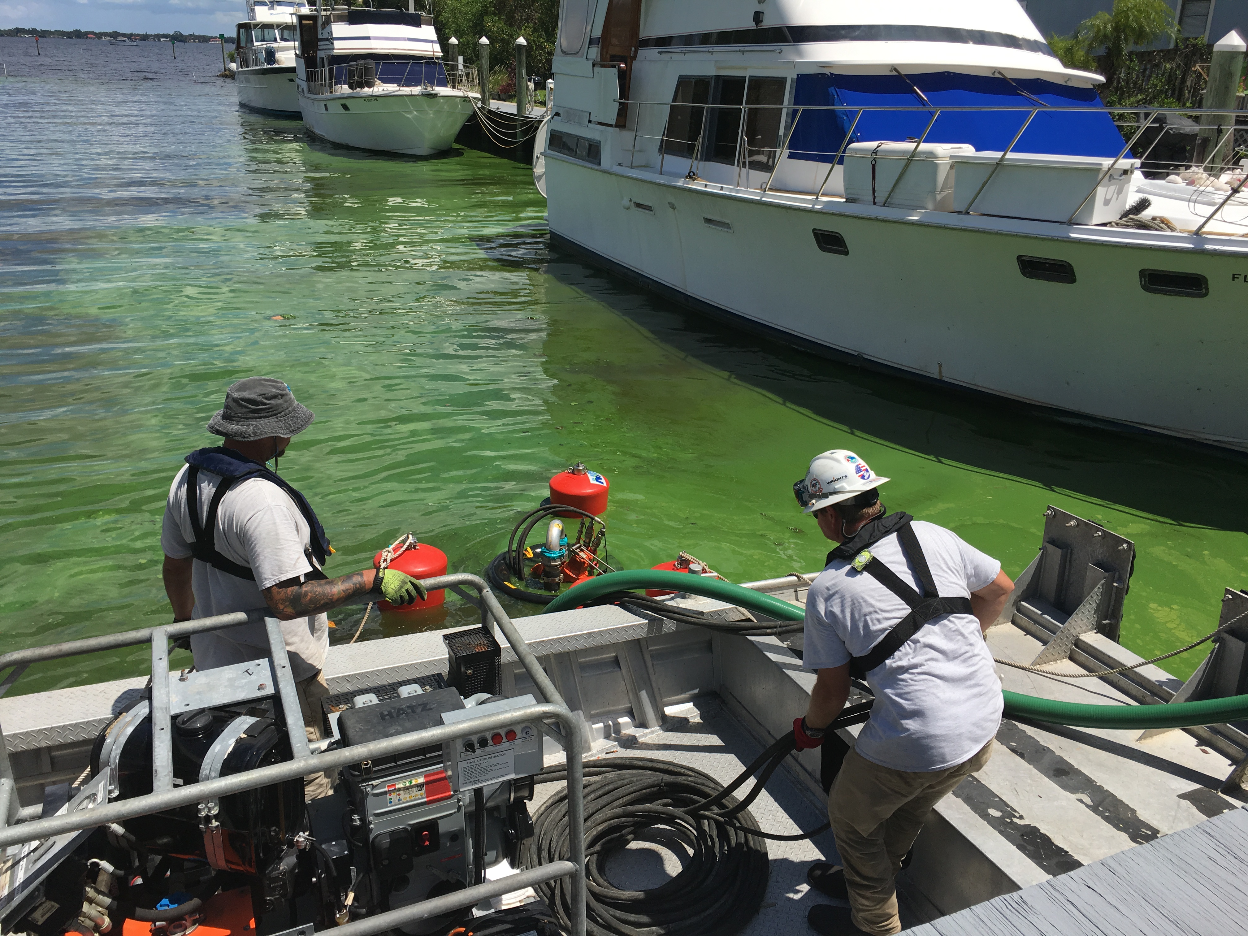 algae-cleanup.JPG